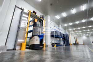 A Beginner's Guide: What Is a Cold Room and How Does It Work?