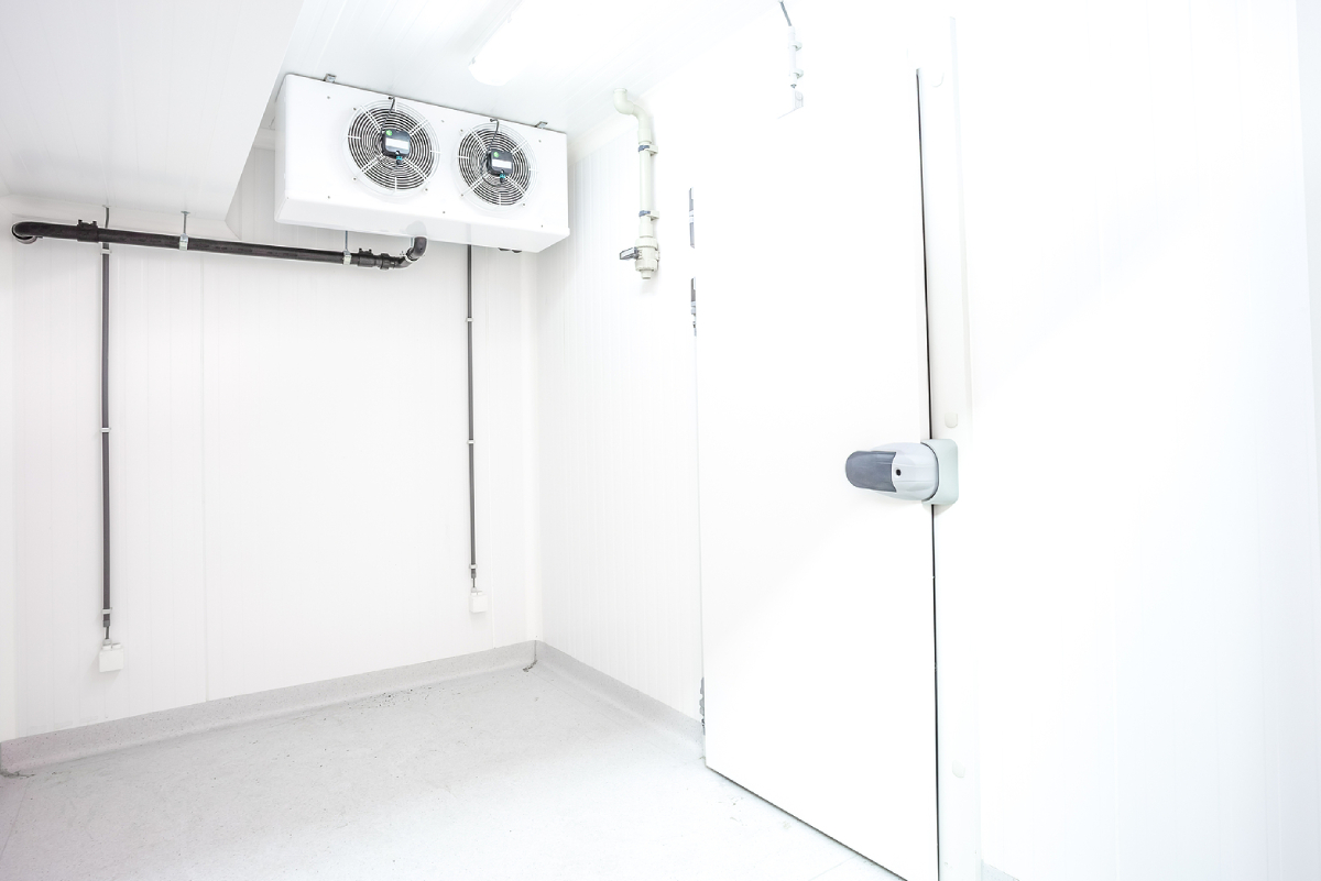 Key Differences Between Walk-In Chillers and Freezers