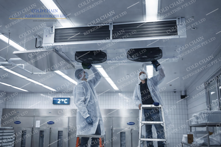 Cold Room Contractor in Singapore | Cold Chain Refrigeration