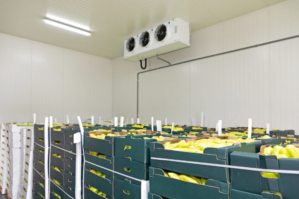 Understanding ROI When Investing in a Walk-In Cold Room