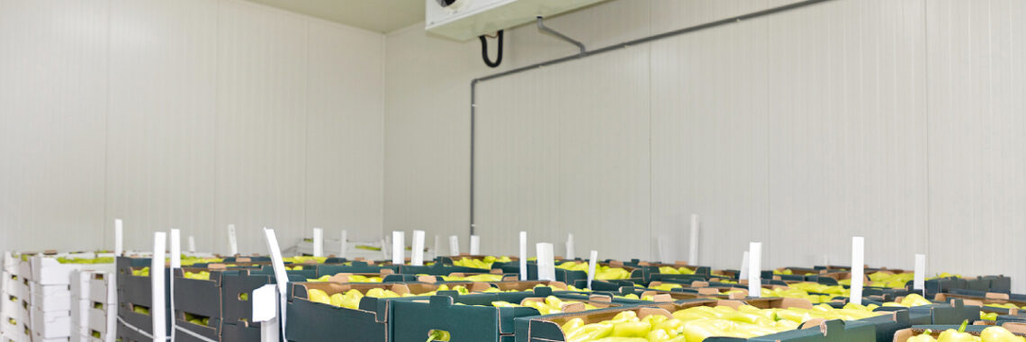 Understanding ROI When Investing in a Walk-In Cold Room