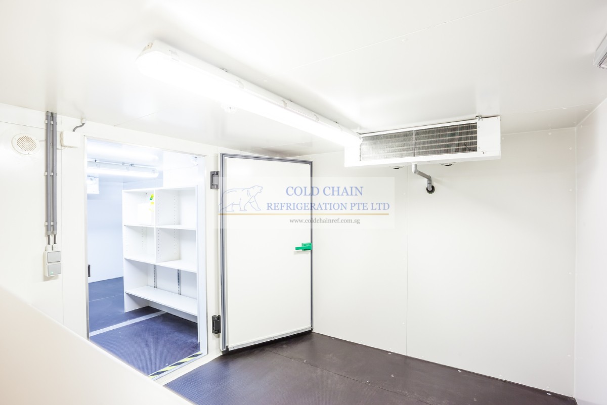 Walk-In Cold Room Installation: Timeline, Costs & What to Expect