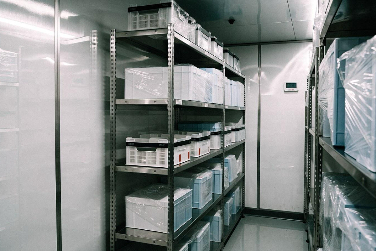 Choosing a Cold Room Specialist for Pharma Storage